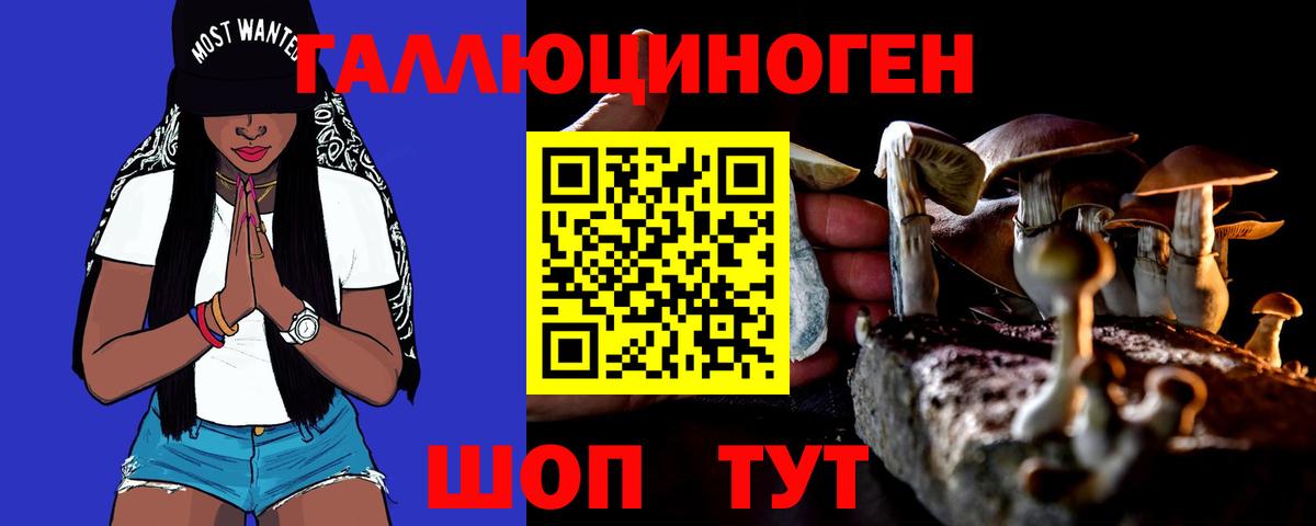 Галлюциногенные грибы Psilocybe  Вход с VPN  Псилоцибиновые грибы Magic Shrooms  Каспийск 